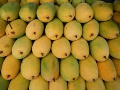 পাঁচজন আম-বিক্রেতা গ্রেফতার ঢাকায়
