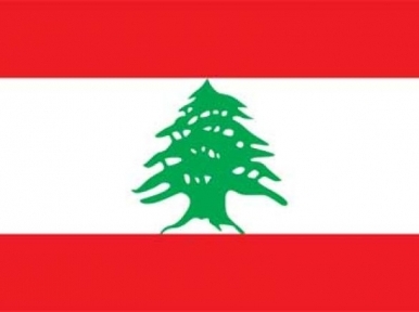 Lebanon: Ban deplores attack on armed forces in Sidon