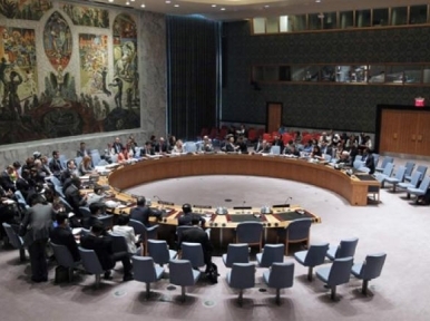 UNSC condemns shelling on Russian embassy in Damascus