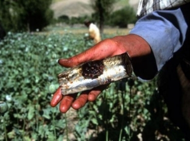 UN concerned over Afghan opium cultivation