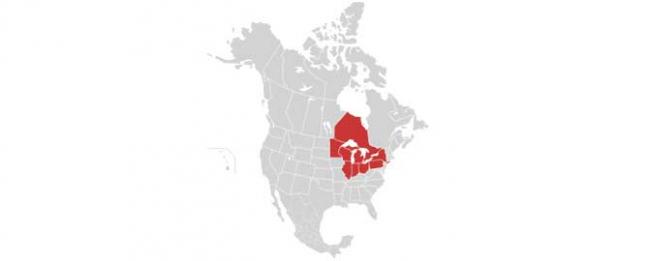 New UN envoy heads to Great Lakes region New UN envoy heads to Great Lakes region