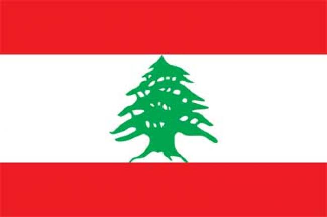 Lebanon: Ban deplores attack on armed forces in Sidon