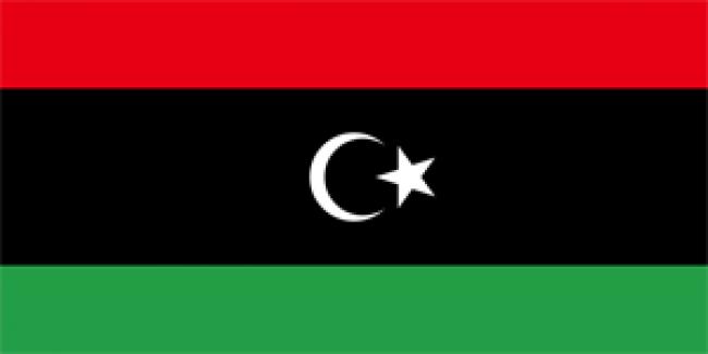 Libya’s transition facing numerous challenges: UN