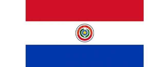 Ban welcomes peaceful general elections in Paraguay