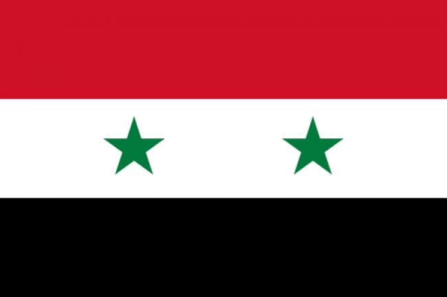 G20: Ban warns of military action in Syria