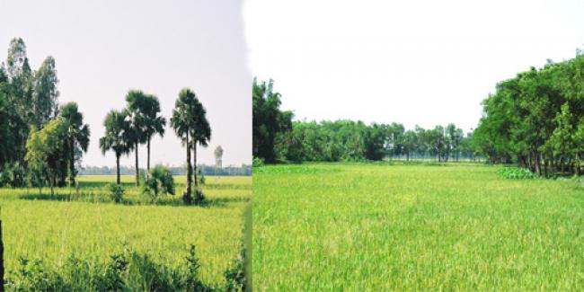 বর্ষায় পর্যটনন ঃ বাংলাদেশ পর্যটনের সোনালী সম্ভাবনা বর্ষায় পর্যটনন ঃ বাংলাদেশ পর্যটনের সোনালী সম্ভাবনা