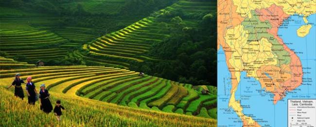 UN concerned over convictions of 14 activists in Vietnam UN concerned over convictions of 14 activists in Vietnam