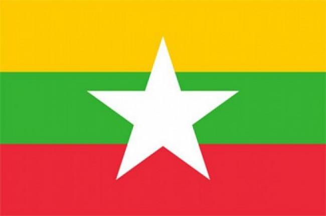 Myanmar: Ban welcomes release of political prisoners