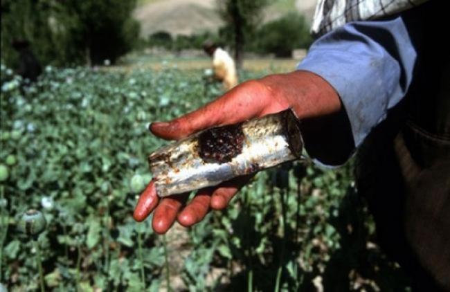 UN concerned over Afghan opium cultivation