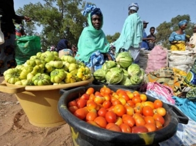 UN recognizes achievement of thirteen countries in eradicating hunger ahead of 2015-deadline