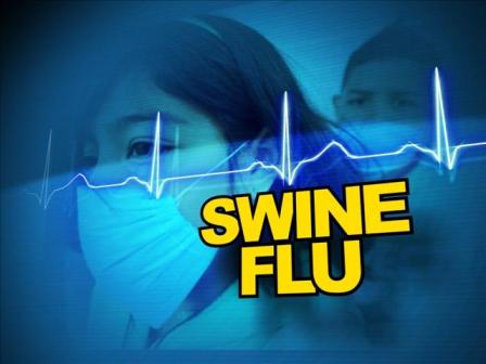 Swine flu deaths close to 1100