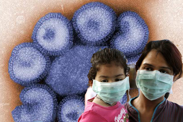 7 dead of Swine flu in AP and Telengana