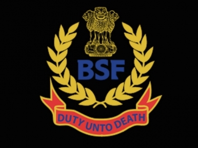 BSF seize rare turtles at border