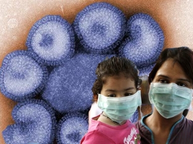 7 dead of Swine flu in AP and Telengana