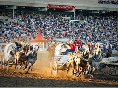 Canada to host greatest outdoor show on Earth- Calgary Stampede in July