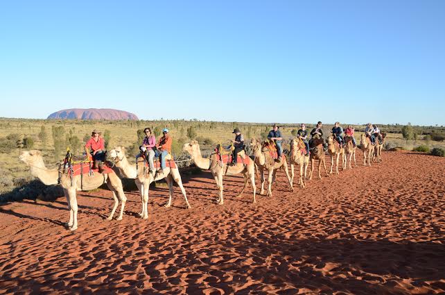 Down Under Rocky Sensations Down Under Rocky Sensations