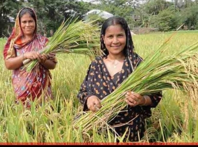 Bio Gas production in Bangladesh