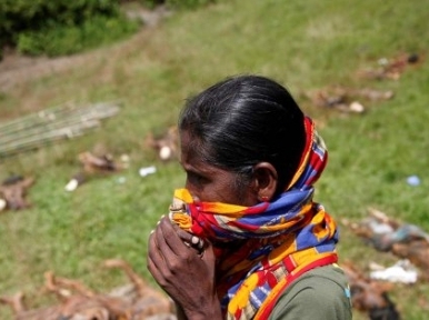 Rohingya hindus massacred by ARSA militants in Myanmar: Amnesty