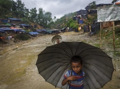 Myanmar has o take back Rohingyas: Denmark envoy