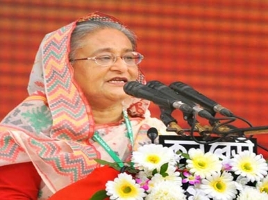 We need to create nation without thinking about gaining profit: Hasina