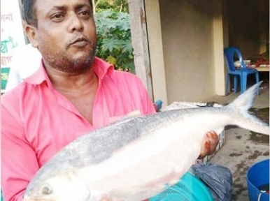 One hilsa fish costs 9 thousand rupees 