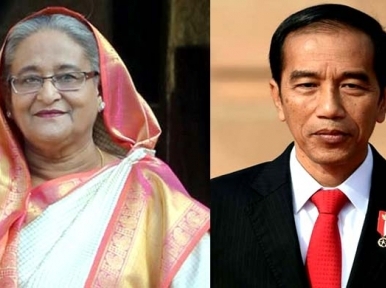 PM Hasina expresses sadness to Indonesia President 