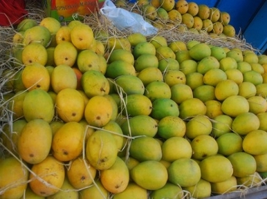 Bangladesh mango exported to Europe 