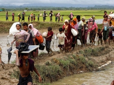 First batch of Rohingya to return to Myanmar on Nov 15