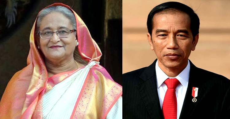 PM Hasina expresses sadness to Indonesia President PM Hasina expresses sadness to Indonesia President