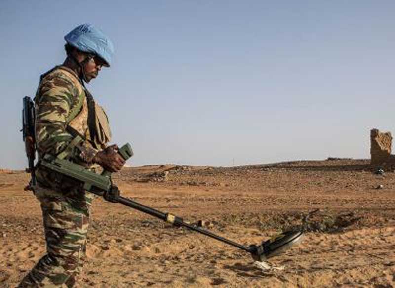 Deadly Mali attack to be investigated by UN rights experts
