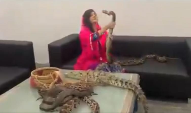 Pakistani singer gets ready with snakes, crocodiles to teach Modi a lesson for Kashmir, Twitter in splits