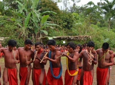 Murder of Brazilian indigenous leader a ‘worrying symptom’ of land invasion