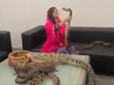 Pakistani singer gets ready with snakes, crocodiles to teach Modi a lesson for Kashmir, Twitter in splits