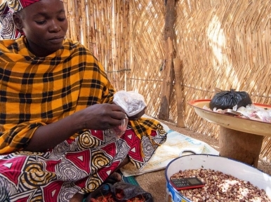 Growing a future free of terrorism: UN News special report from Cameroon