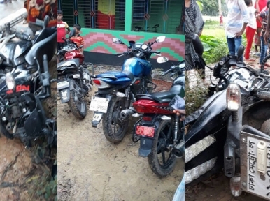 4 motorcycle riders die as they try to save goats on Bangladesh roads