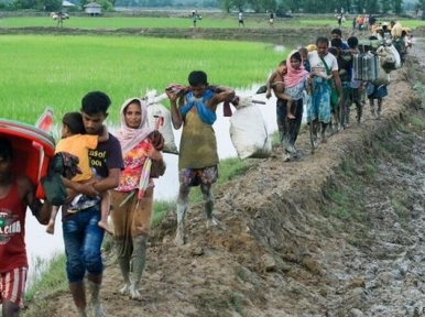 US Senators to urge govt to direct Myanmar to return Rohingyas