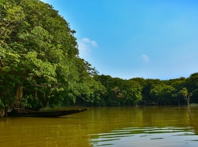 German to help Bangladesh money on Sundarban cause 