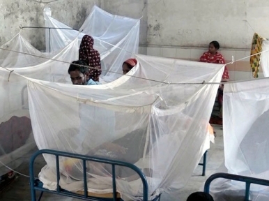 Dengue death rates continue