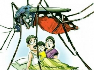 Bangladesh Dengue Trouble: 86 patients admitted in an hour