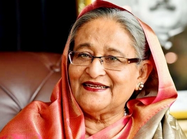The purpose of Indian amendment bill is not known to me: Hasina