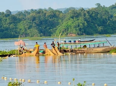 Kaptai: Limitation imposed on fish hunting