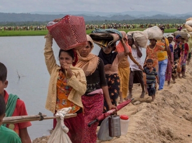 NGOs giving arms to ROhingyas 