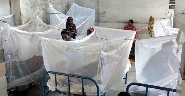 Dengue patients rate increases again in Bangladesh