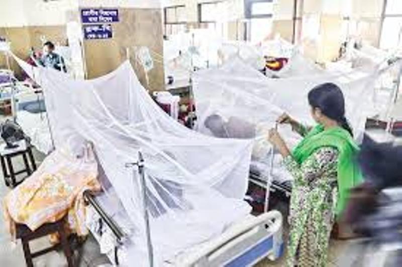 Dhaka: Dengue patients now stands at 78