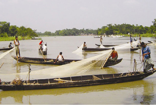 Halda River: Fishing industry to prosper