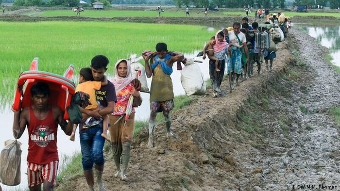 US Senators to urge govt to direct Myanmar to return Rohingyas