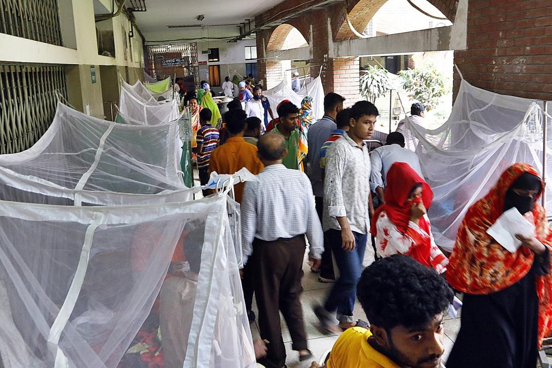 Bangladesh: Dengue claims 8 more lives