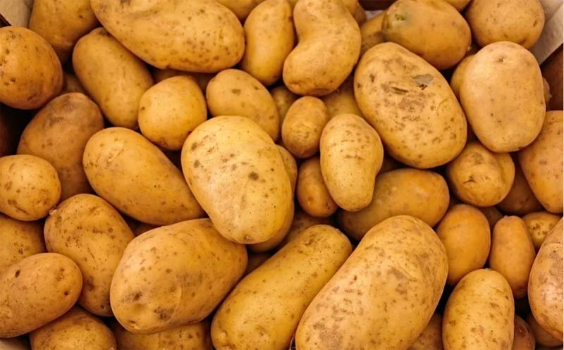 Potato prices spike to 35 per kgs in Bangladesh