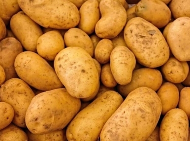 Potato prices spike to 35 per kgs in Bangladesh