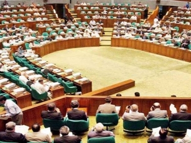 Only five percent MPs are politicians, says TIB report